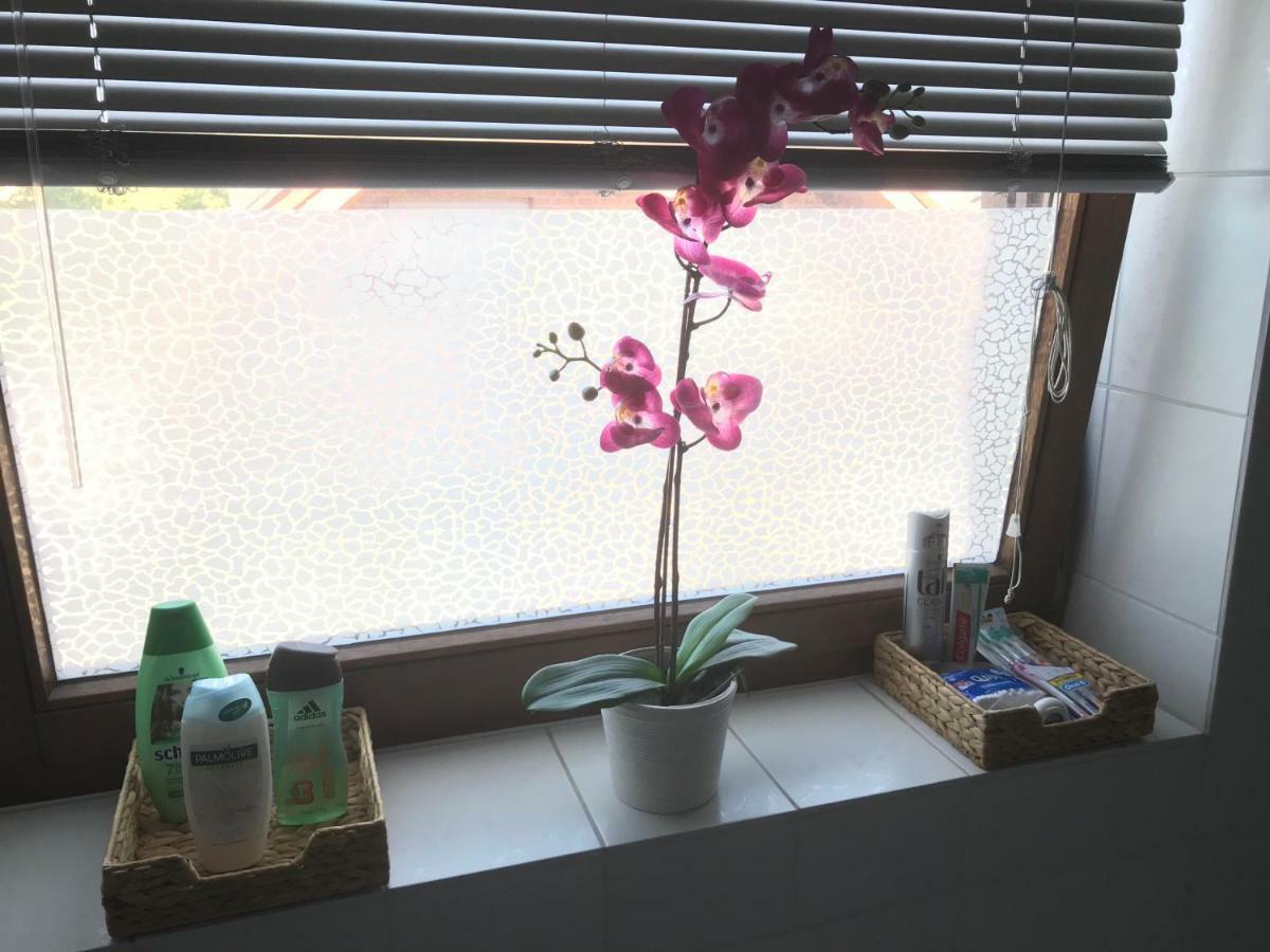 Business Wohnung ++ Hochwertige Ausstattung Paderborn Bagian luar foto